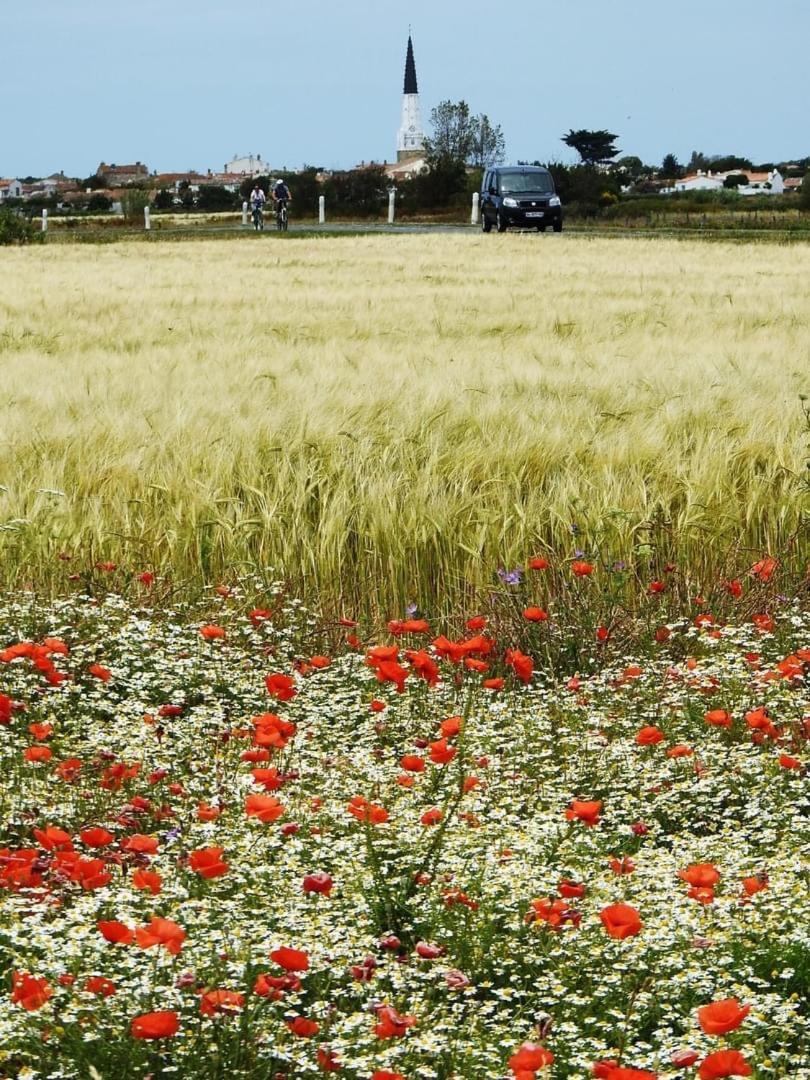 Petite Maison Dans Le Jardin Ars-en-Ré Εξωτερικό φωτογραφία